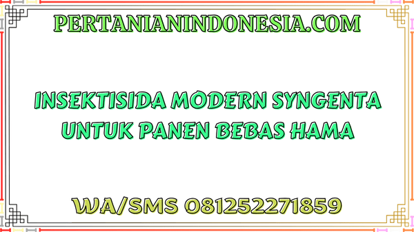 Virtako Insektisida Modern Syngenta Untuk Panen Bebas Hama